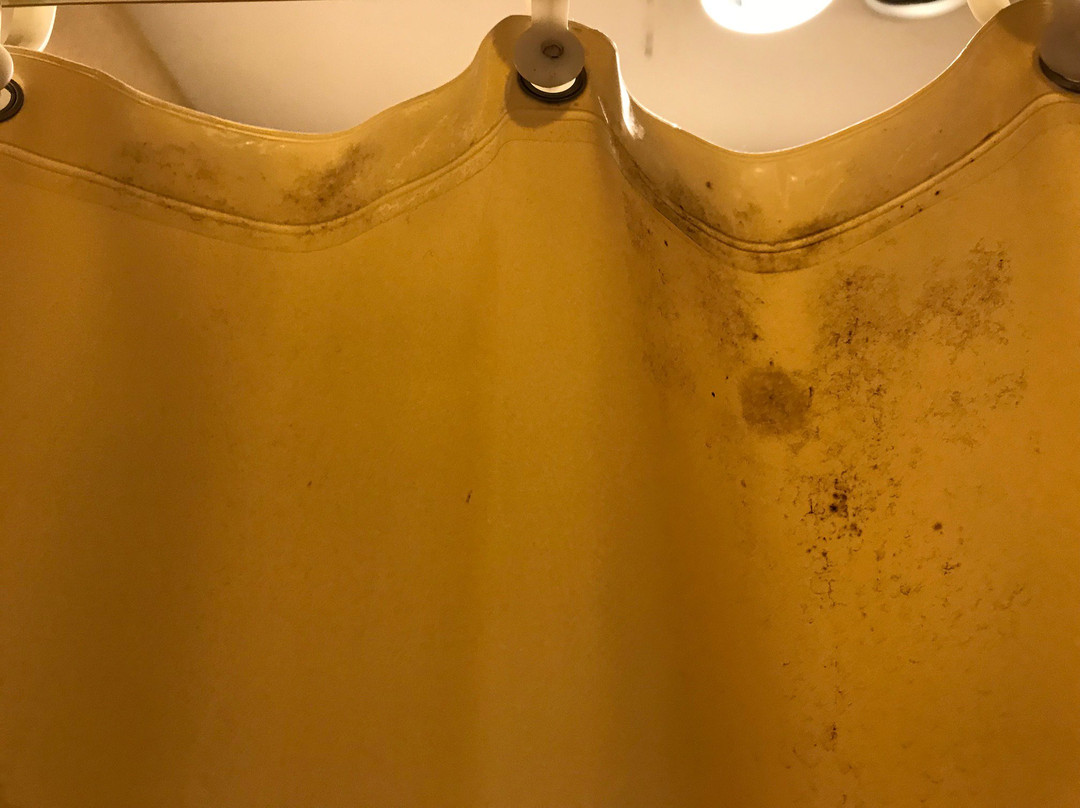 Budget Host Royal Gorge Inn