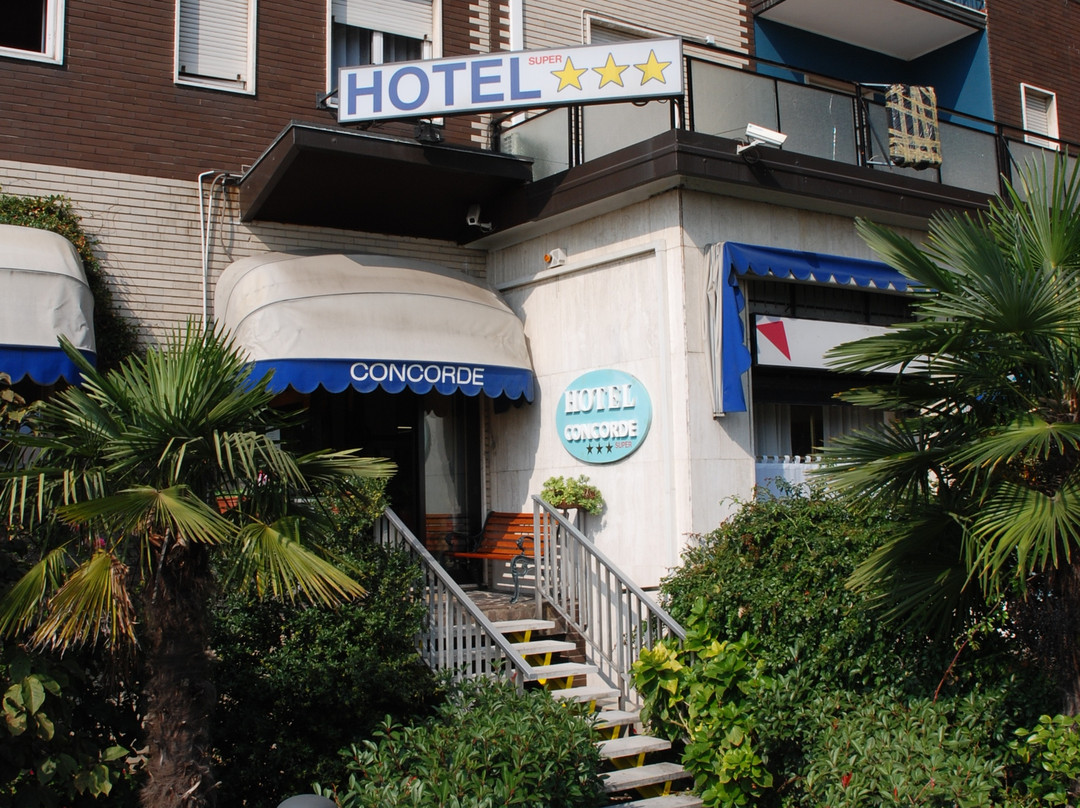 康科德 (Concorde)