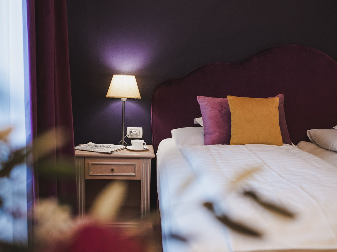 Hotel Adria Merano主图