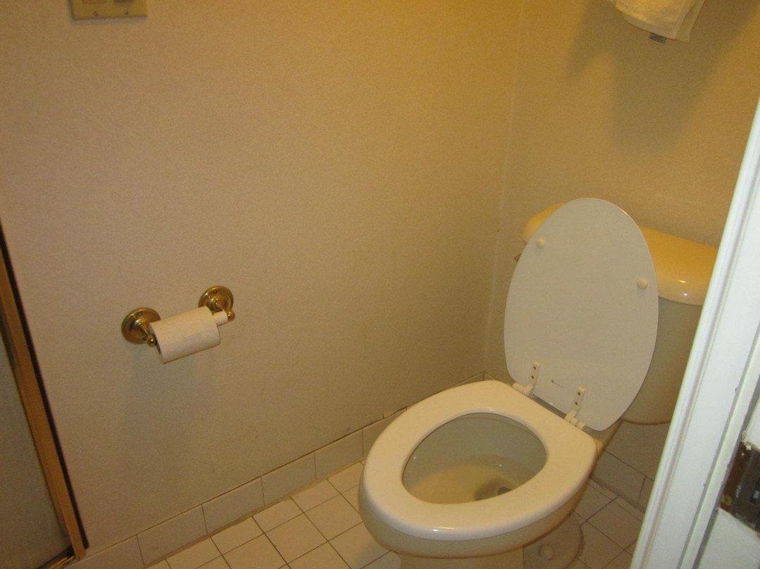 Days Inn by Wyndham Flint/Bishop International Airport