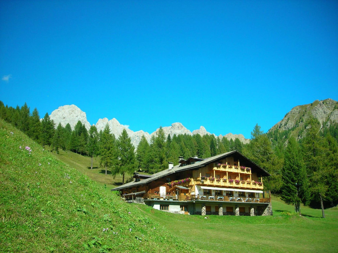 Flora Alpina