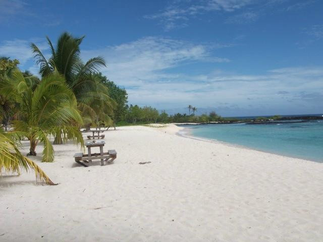 萨瓦伊岛酒店住宿-Falealupo Beach Fales