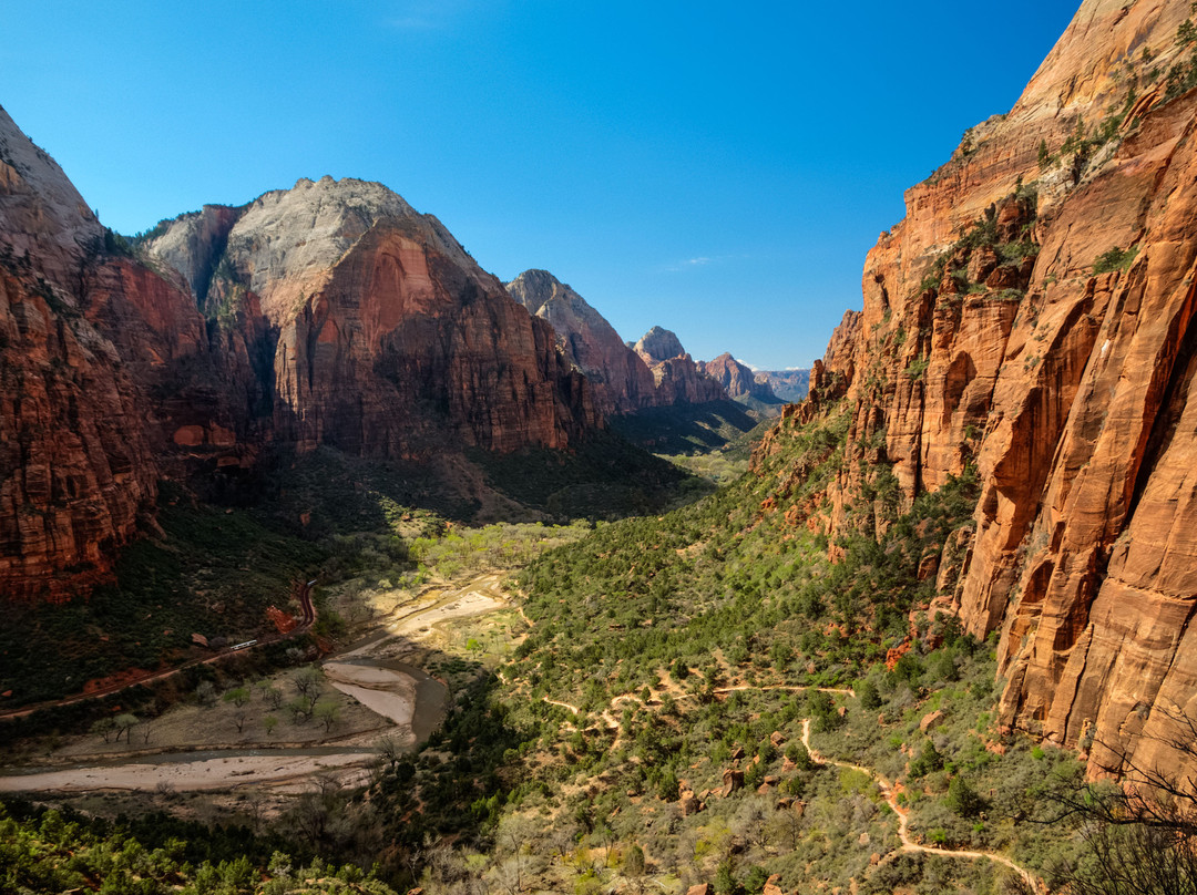 Zion's Main Canyon景点图片