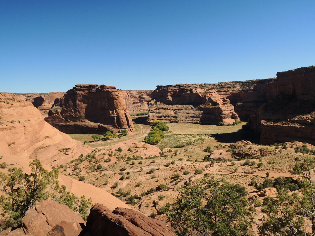 White House Overlook