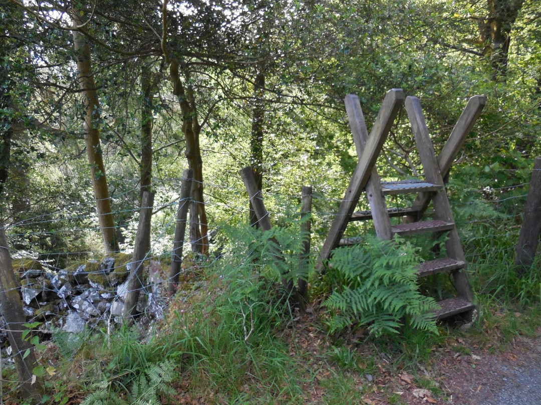 Llanrwst旅游攻略图片