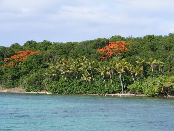 Parc Naturel Regional de la Martinique景点图片