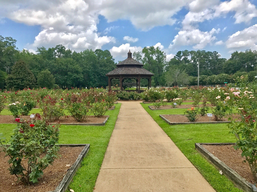 Thomasville Rose Garden景点图片