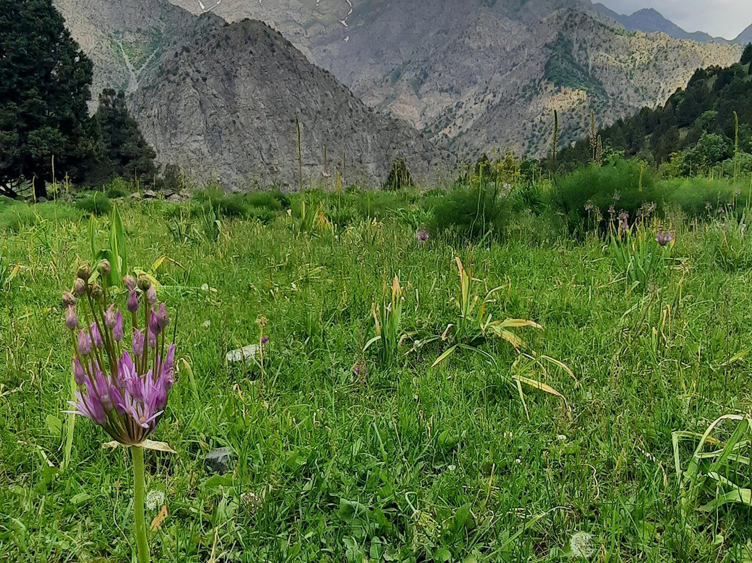 Shirkent Gorge-Tursunzade必去景点