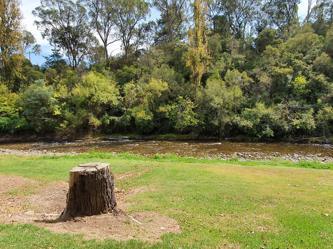 Snowy Creek Picnic Ground景点图片