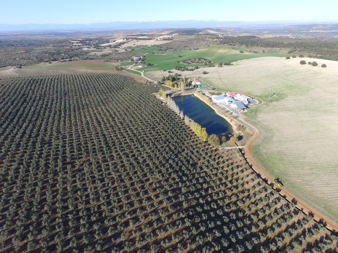 Centro de Interpretación del Olivar - Finca La Pontezuela景点图片