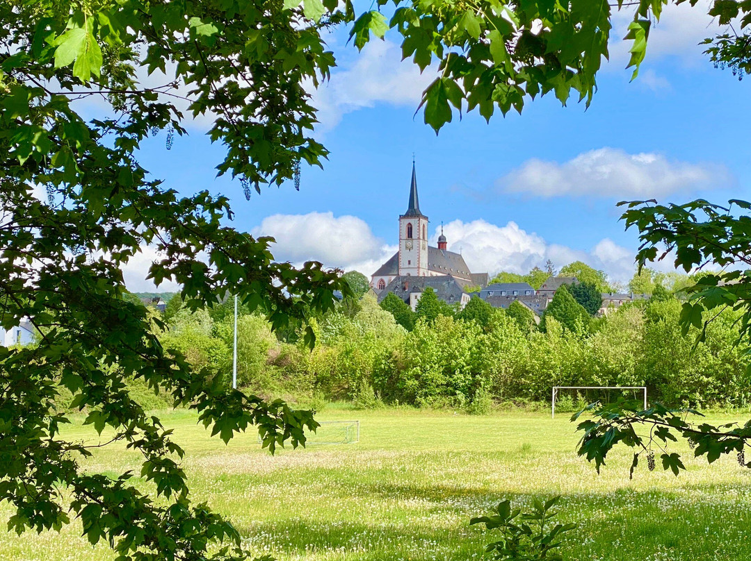 Wallfahrtskirche景点图片