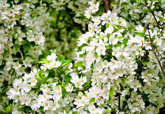 Otoe Parking Area Inbound-深川市必去景点