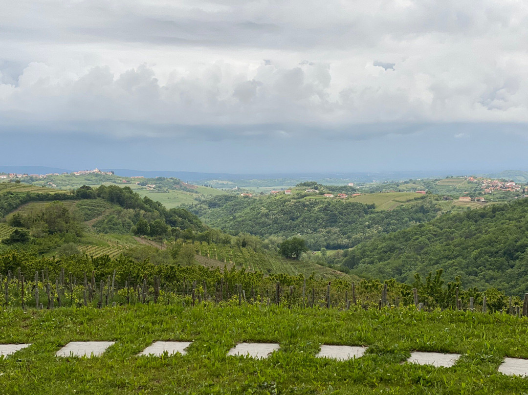 Peterc Vineyard Estate-Kojsko必去景点