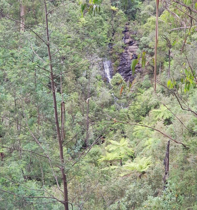 Wombelano Falls-Kinglake必去景点