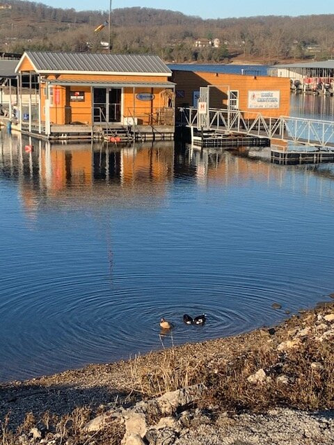 Indian Point Dive Center-布兰森必去景点