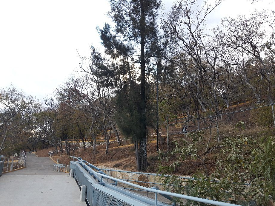 Auditorio Guelaguetza-瓦哈卡必去景点