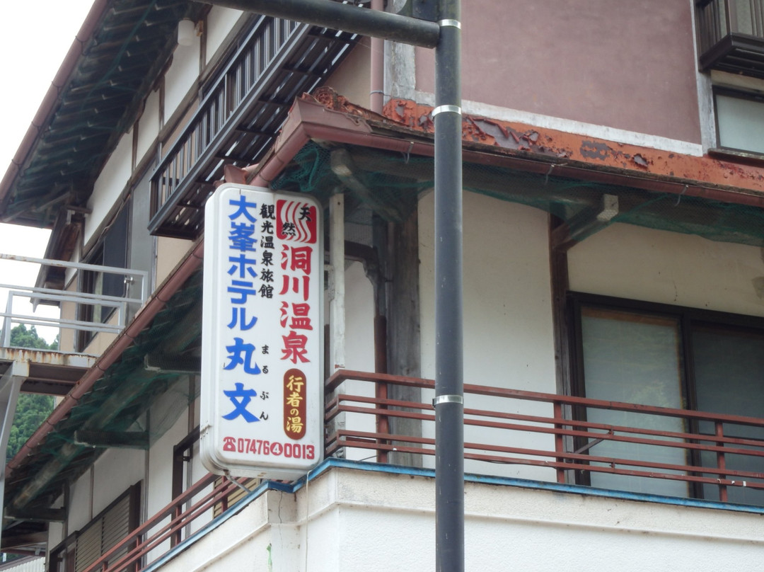 Omine Hotel Marubun主图