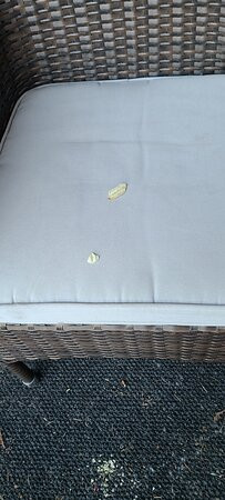 Mt Hood Oregon Resort, BW Premier Collection主图