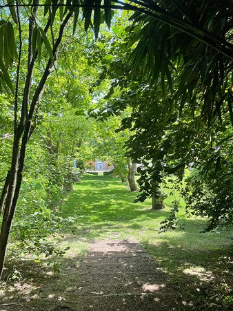 巴斯蒂德酒店主图