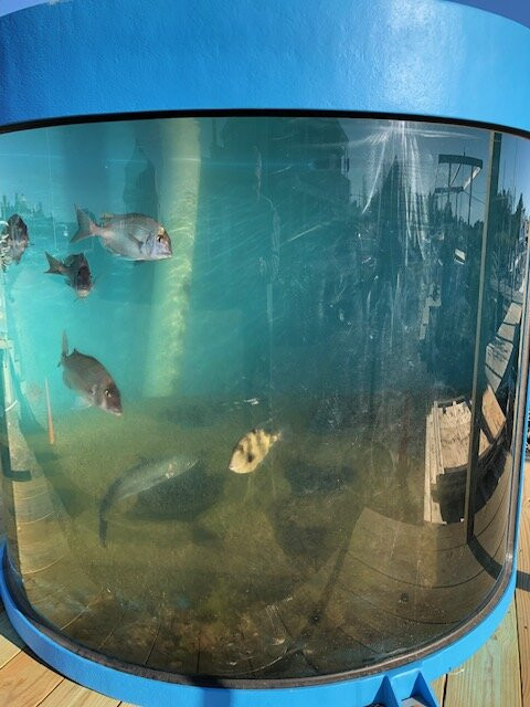 Block Island Maritime Institute-新肖勒姆必去景点