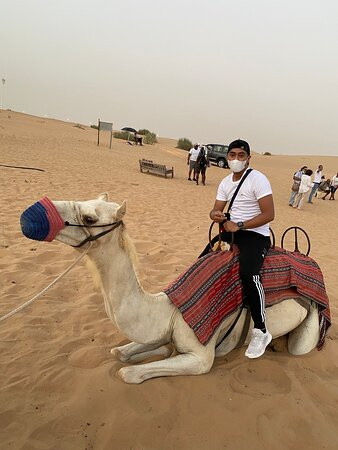 Iconic Tourism LLC-迪拜必去景点