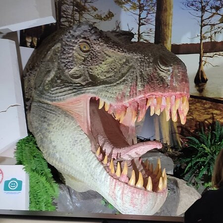Vyatka Museum of Paleontology-基洛夫必去景点