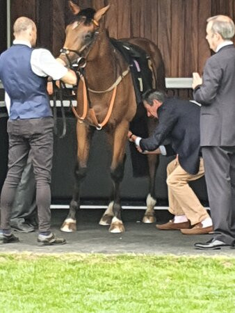 Newmarket Racecourses景点图片