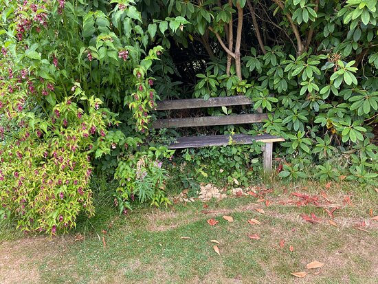 Sir Thomas and Lady Dixon Park-贝尔法斯特必去景点