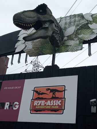 Rye-assic Adventure Park景点图片