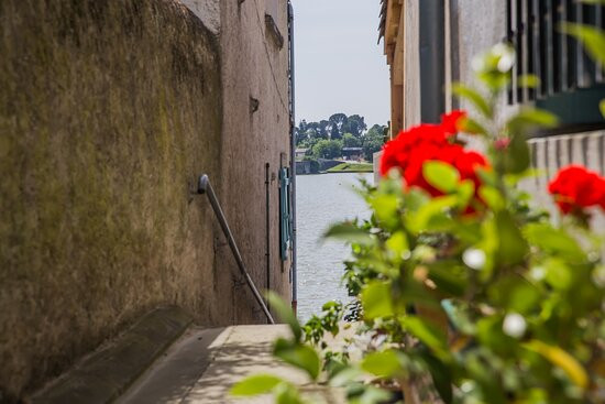 Le Grand Bassin-Castelnaudary必去景点