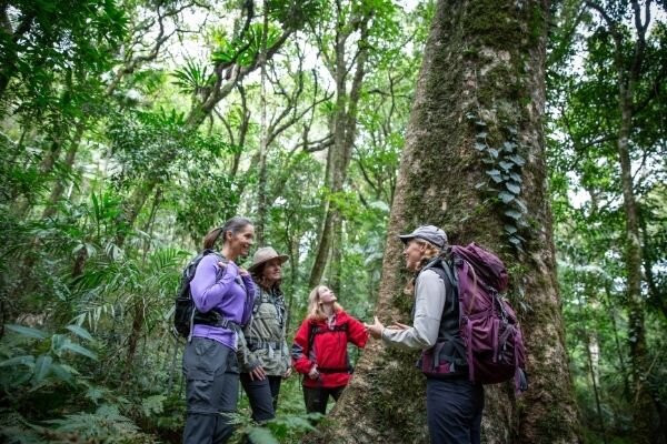 Scenic Rim Trail景点图片