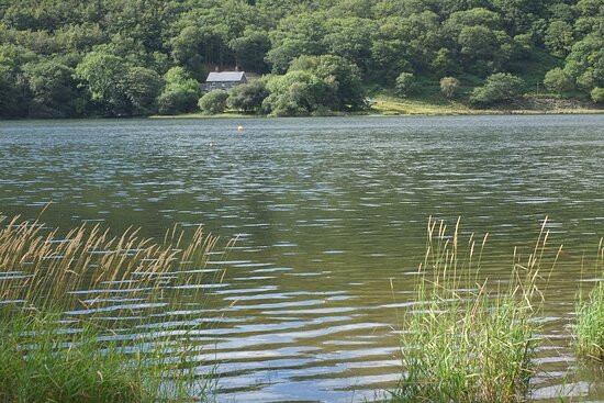 Talyllyn Lake景点图片