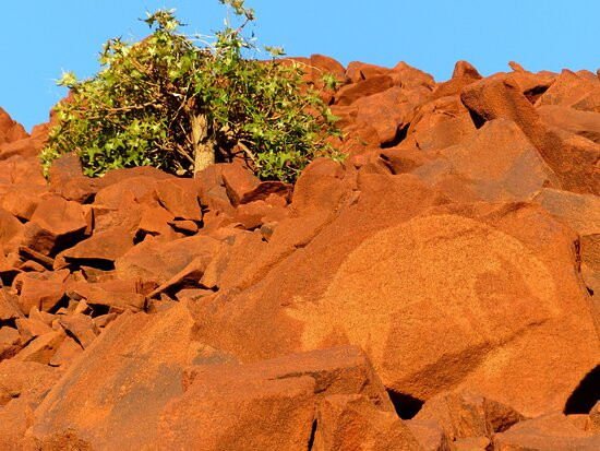 Murujuga National Park-Dampier必去景点