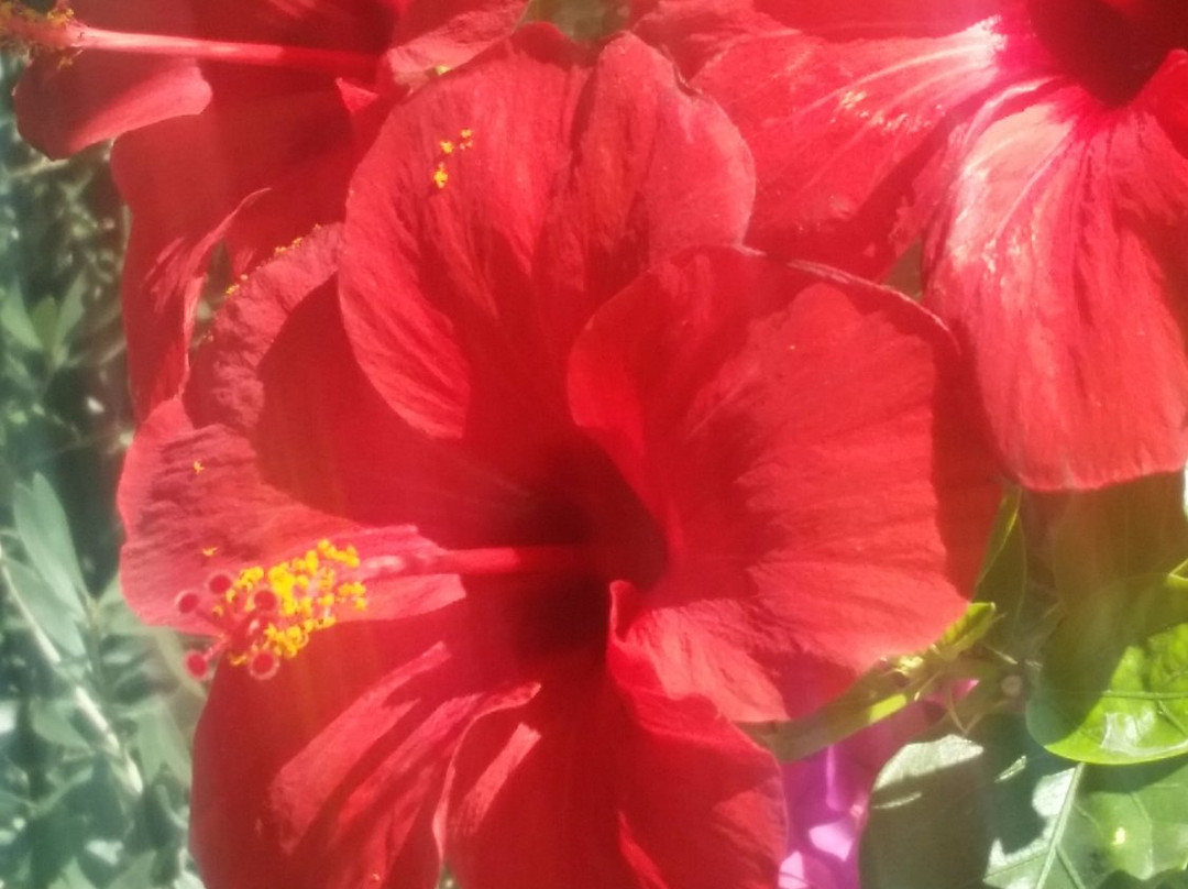 Hotel Poseidon主图