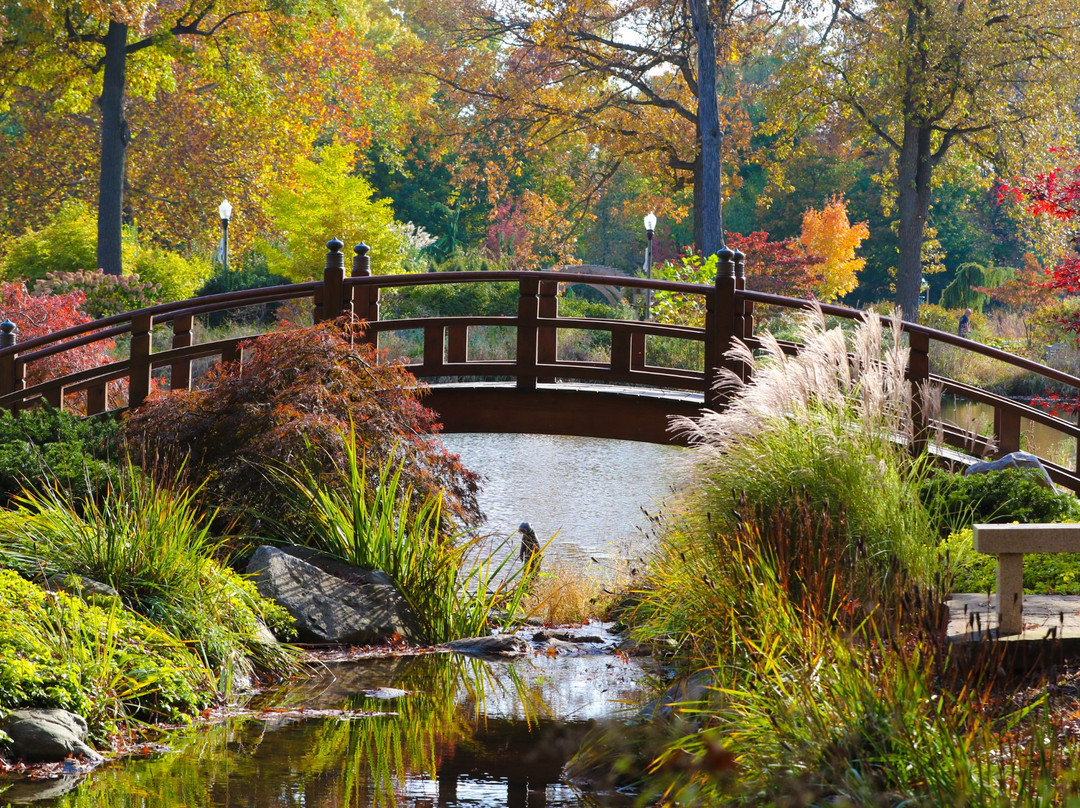 Wellfield Botanic Gardens景点图片