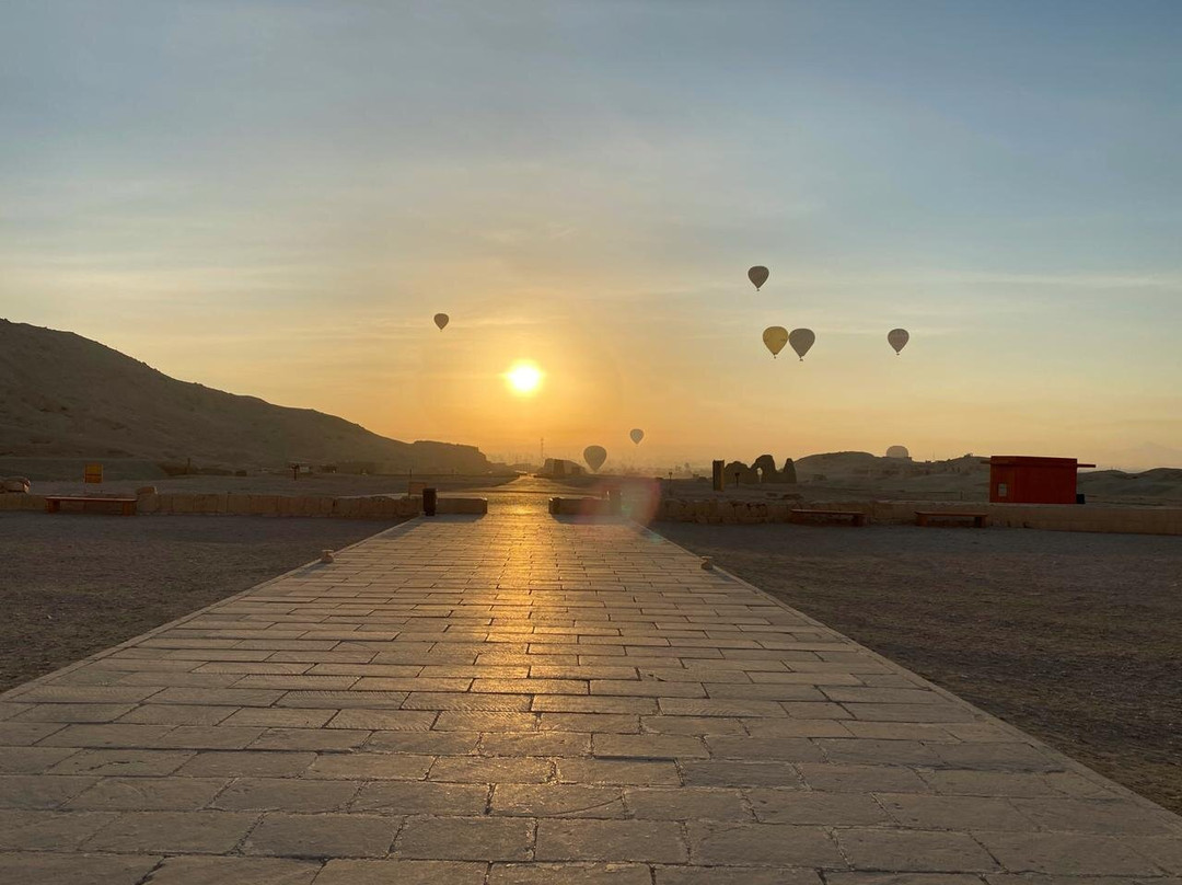 Blue Lotus-卢克索必去景点