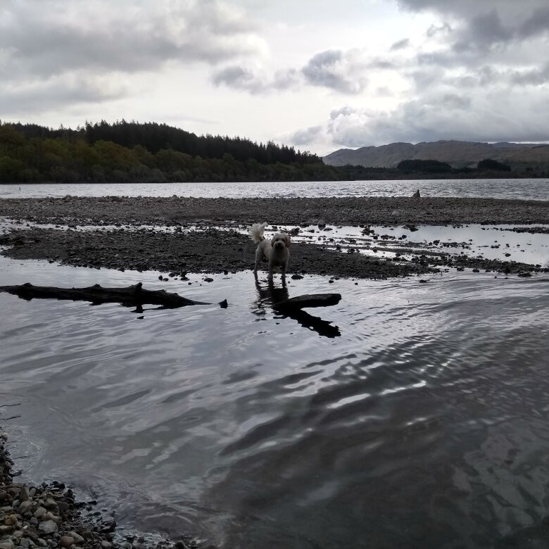 The Cabins, Loch Awe