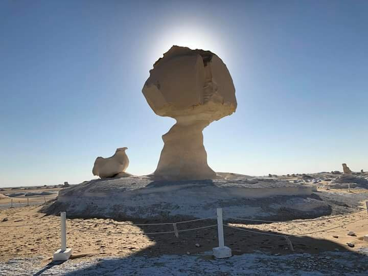 White Desert Safari景点图片