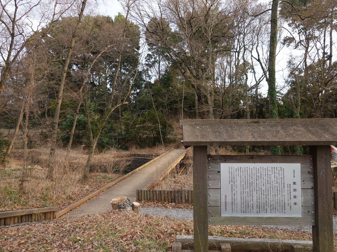 Kurohama Kaizuka Mound-莲田市必去景点