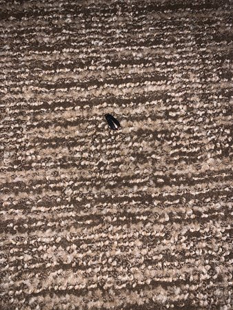 Super 8 by Wyndham Macon主图