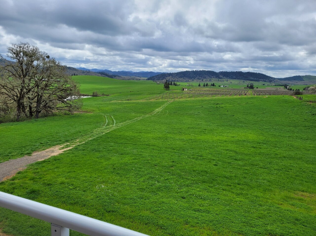 Meadows Estate Vineyard & Winery景点图片