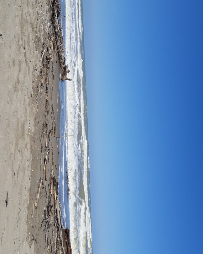 Spiaggia della Bassona景点图片