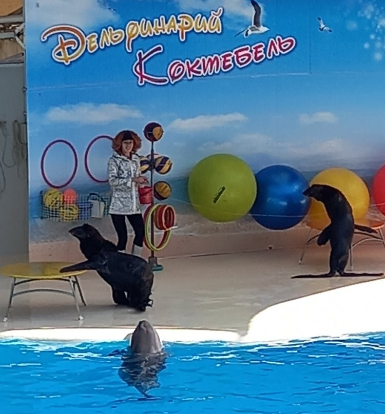 Dolphinarium Koktebel-Koktebel必去景点