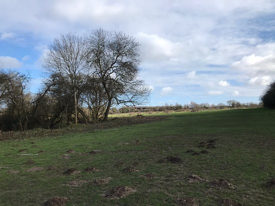 Batchworth Lake And The Grand Union Canal walk景点图片