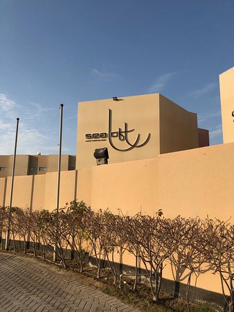 The Dragon Hotel & Resort主图