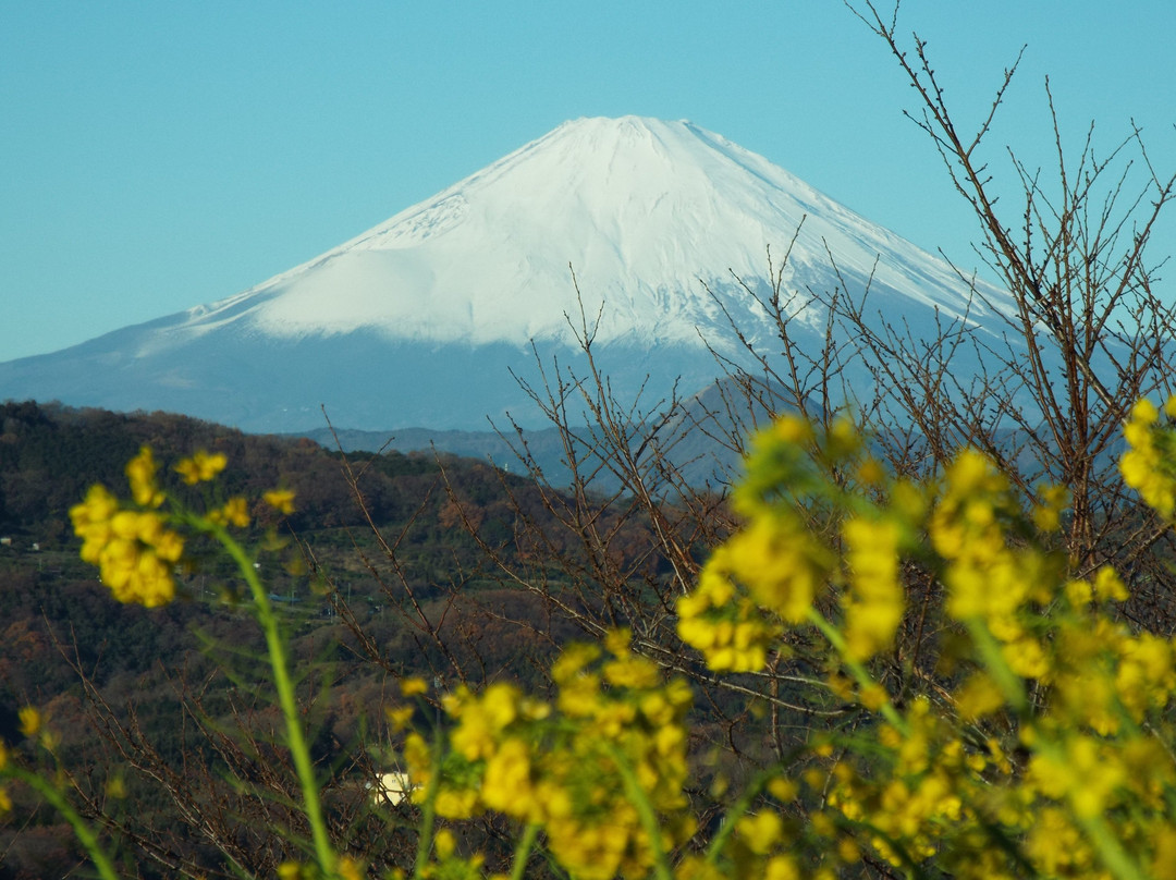 Azumayama Park-二宫町必去景点