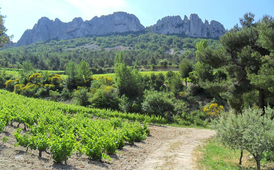 Provence VTC景点图片