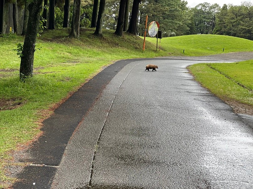 Takayubaru Country Club景点图片