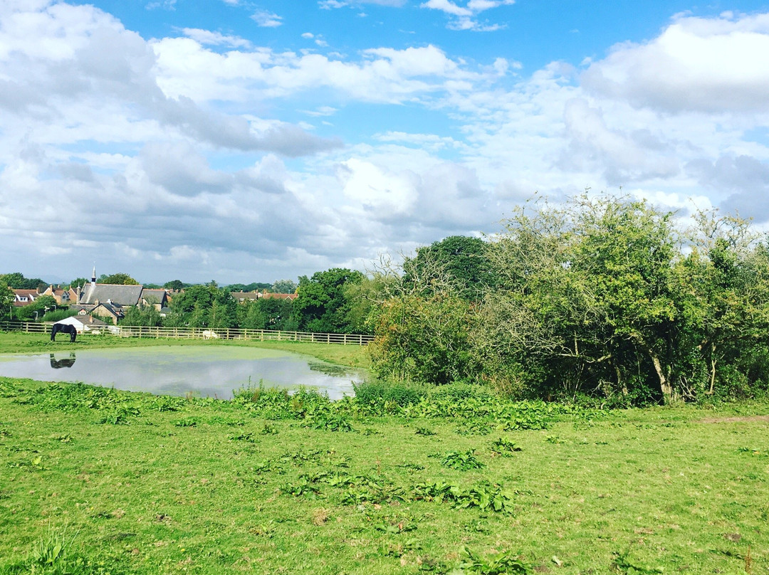 Mawdesley Jubilee Trail景点图片