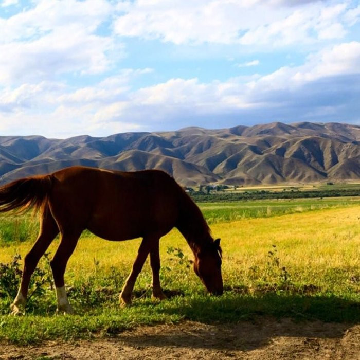 Kemin旅游攻略图片